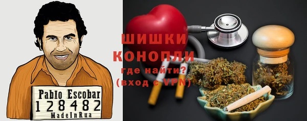 прущие крисы Ельня
