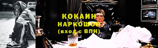 прущие крисы Ельня