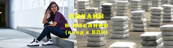 прущие крисы Ельня