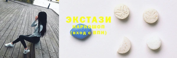 МДПВ Дмитриев