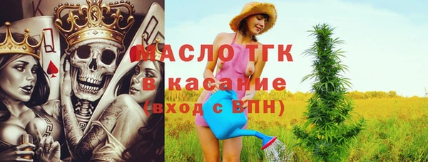 прущие крисы Ельня