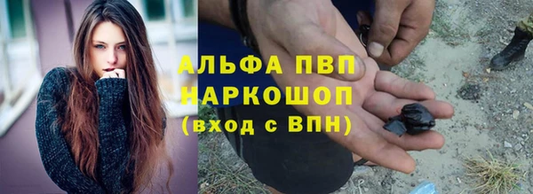 прущие крисы Ельня