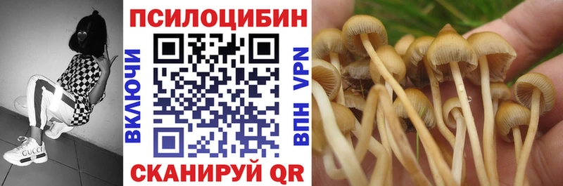 это официальный сайт  Инсар  Псилоцибиновые грибы мухоморы 